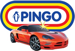 продукция компании PINGO